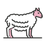 DOSDOG GAMA OVEJA