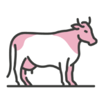DOSDOG GAMA VACA